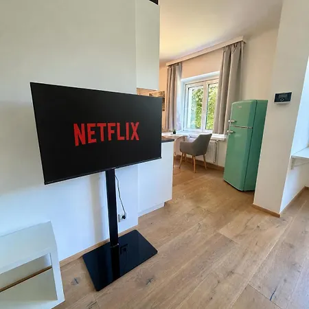 Stilvolles Und Ruhiges Appartement Linz